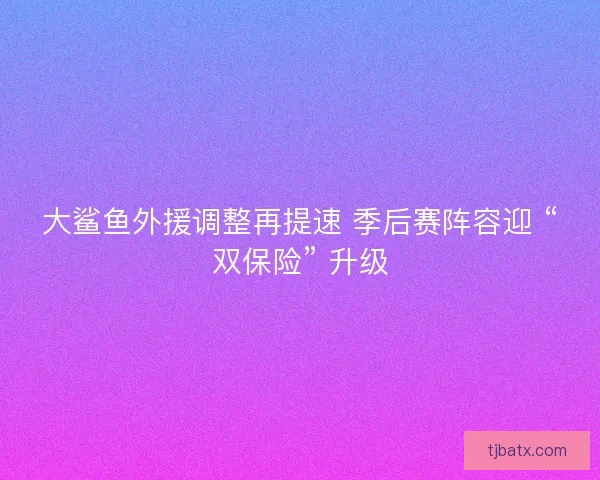 大鲨鱼外援调整再提速 季后赛阵容迎 “双保险” 升级