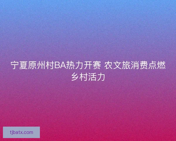 宁夏原州村BA热力开赛 农文旅消费点燃乡村活力